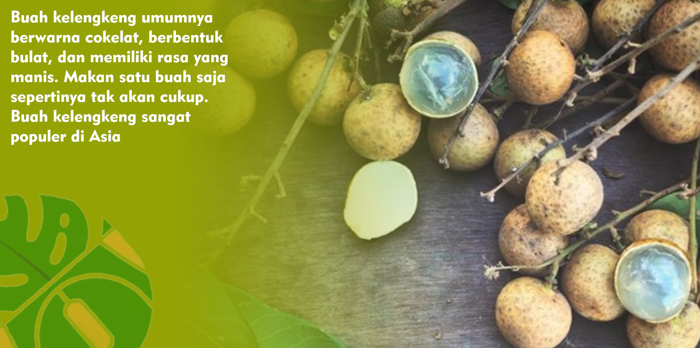 Khasiat Buah Kelengkeng Sebagai Sumber Vitamin C Khasiat Buah Kelengkeng Sebagai Sumber Vitamin C